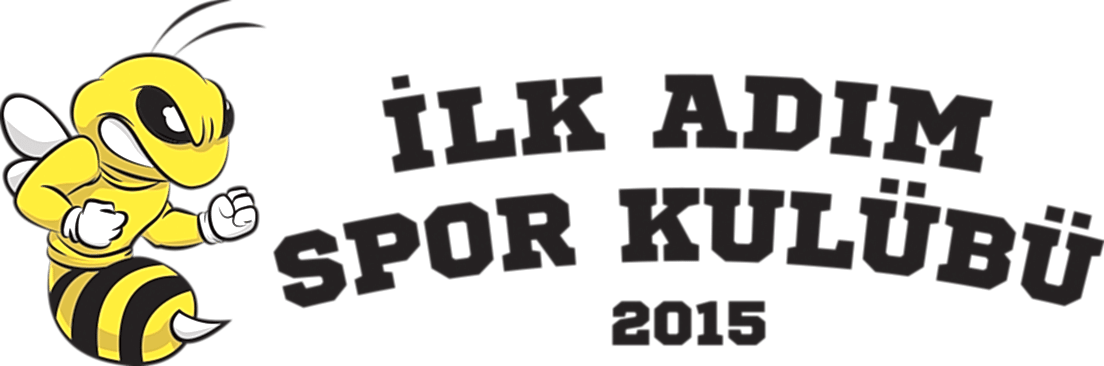 Basketbol okulu logo